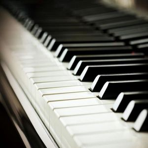 一级性生活片免费看
