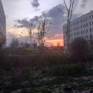 一级性生活片免费看
