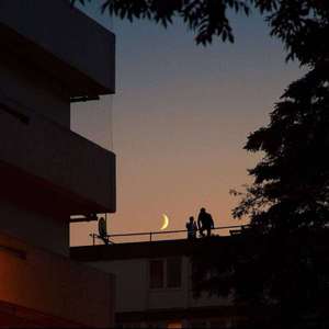 一级性生活片免费看
